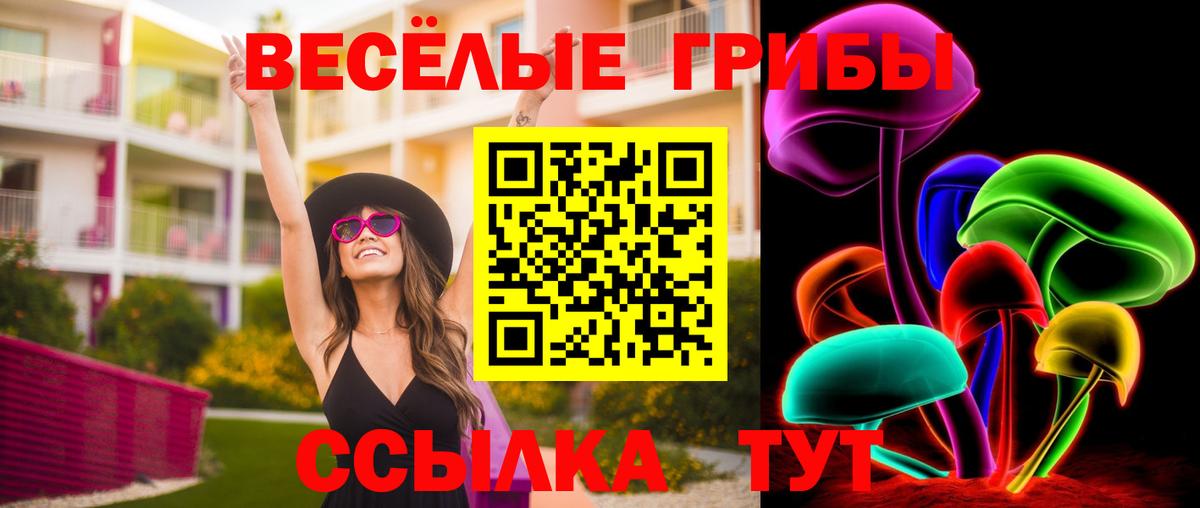 Галлюциногенные грибы GOLDEN TEACHER  что такое наркотик  Чапаевск  Вход с VPN 